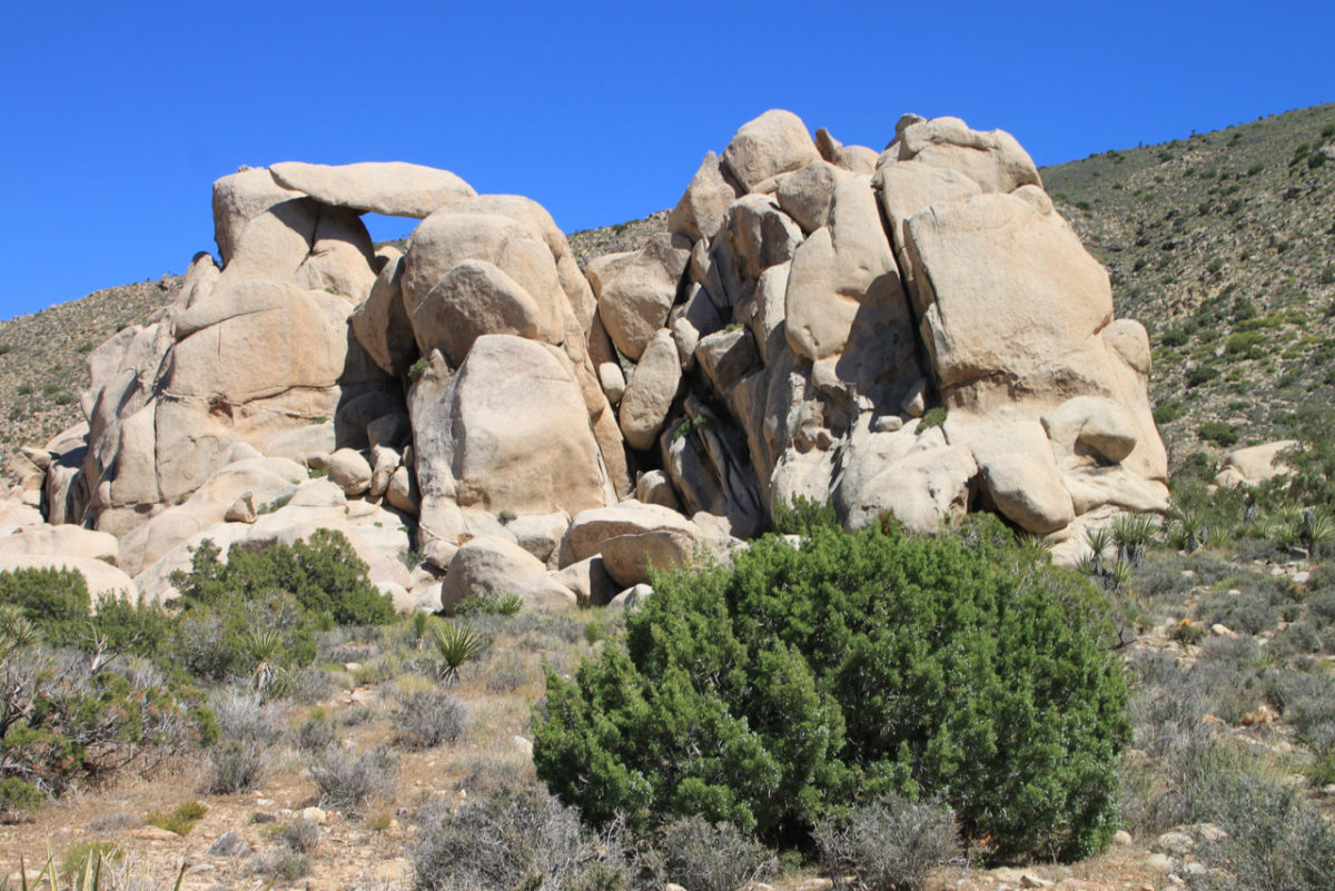 jumbo rocks with kids