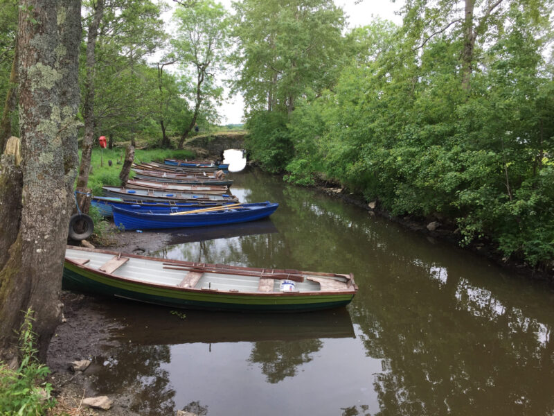 Boats at Ross Castle