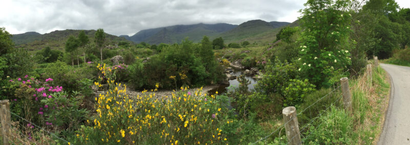 Killarney National Park