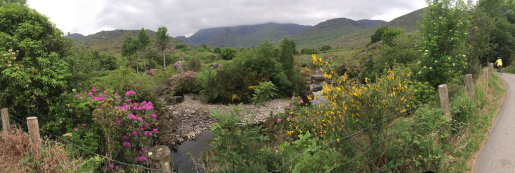 Ireland countryside