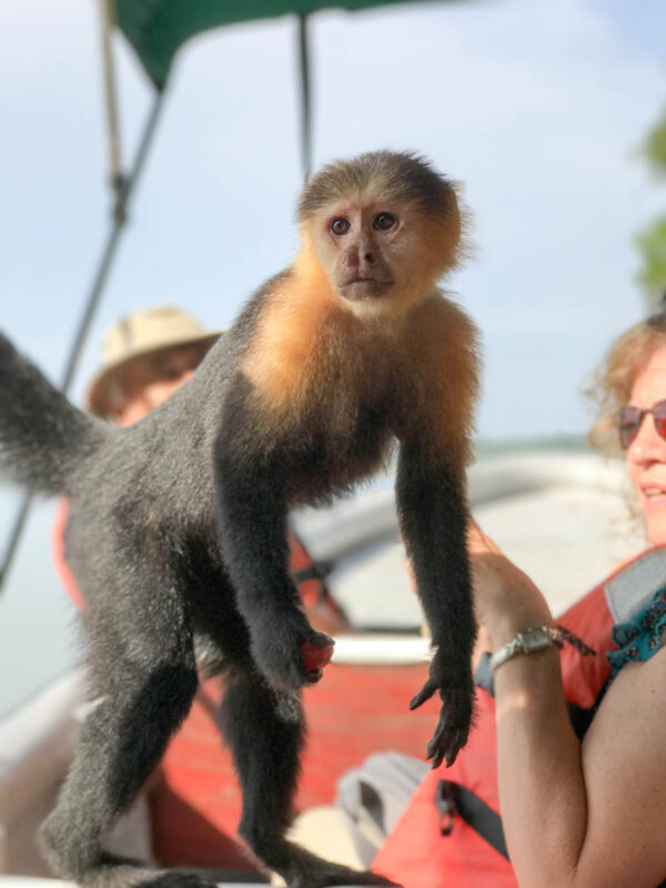 Panama Day Trips Monkey Island