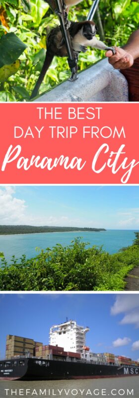 Are you visiting Panama City? Click to read all about the BEST daytrip you can take to see Panama from ocean-to-ocean, all before sunset! You'll see monkeys, rainforests, cargo ships and more... and there might even be a pirate around the corner. #Panama #PanamaCity #tour #wildlife #monkey #daytrip #PanamaCanal