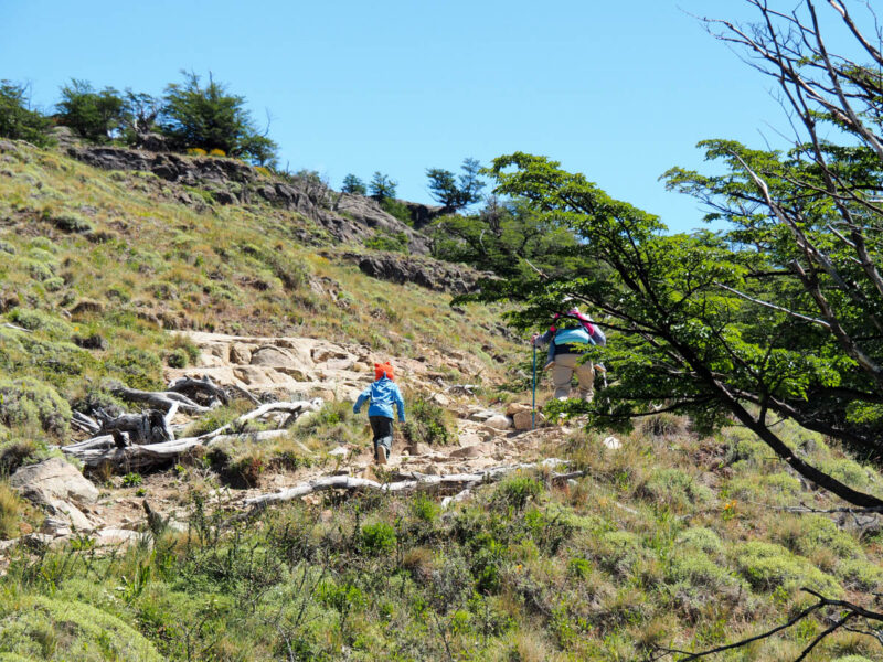 El Chalten Laguna Torre trail