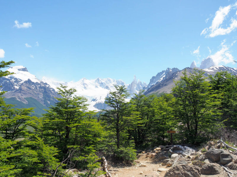 Laguna Torre Chalten