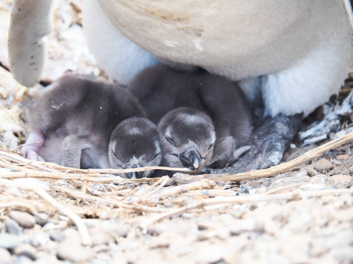 patagonia family tours