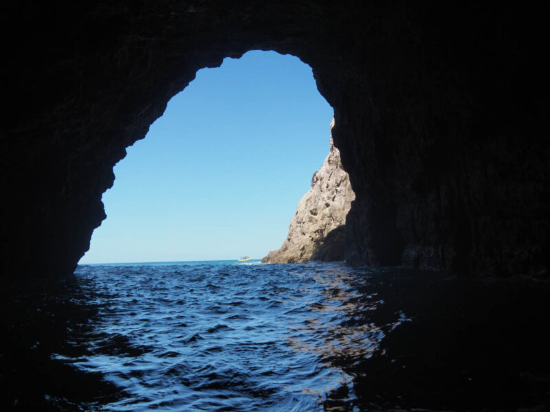 new zealand sea cave