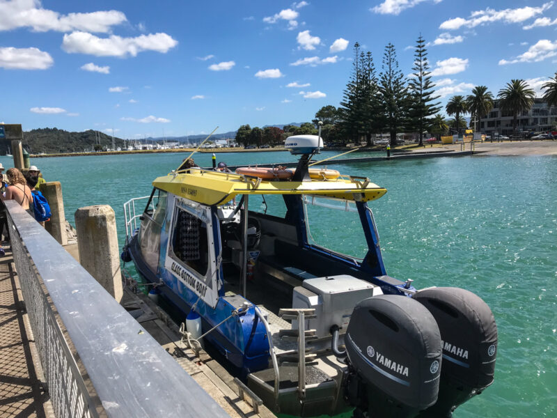 Glass Bottom Boat Whitianga