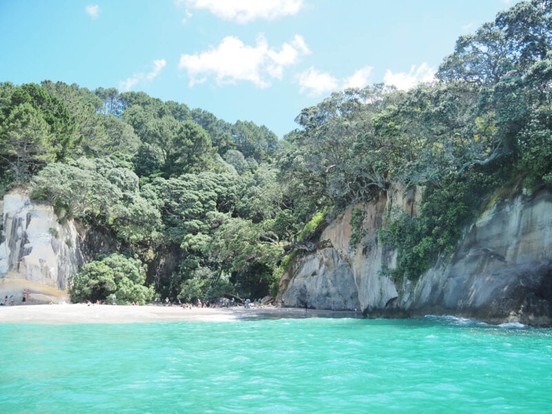 cathedral cove coromandel