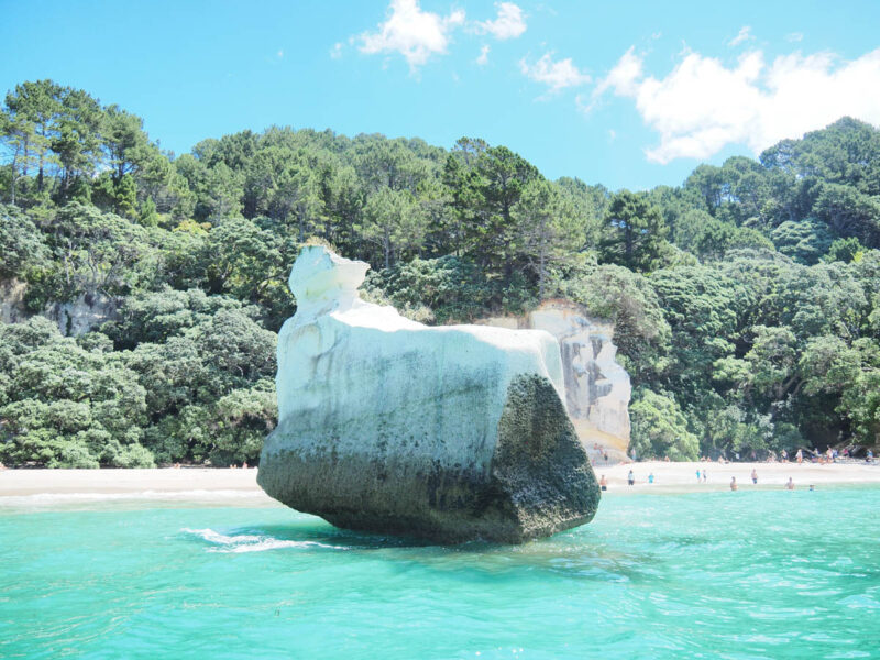 cathedral cove boat tour