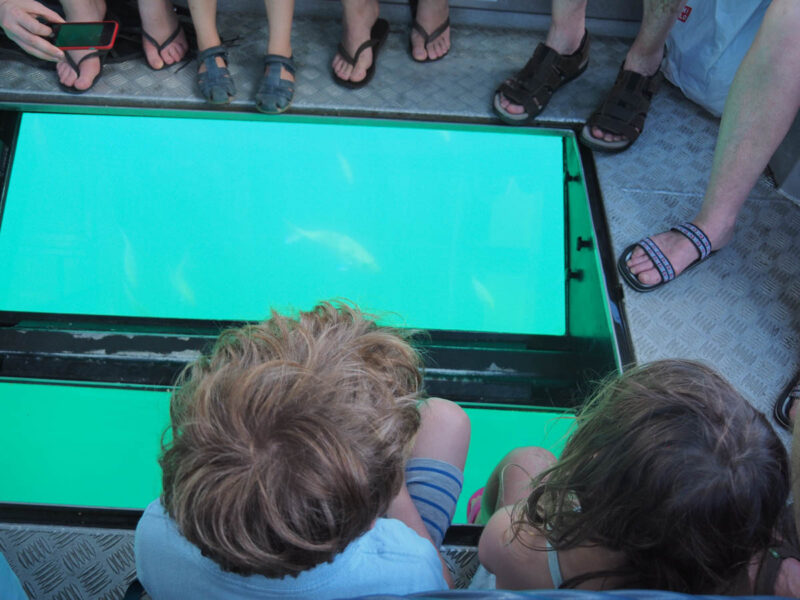 cathedral cove glass bottom boat