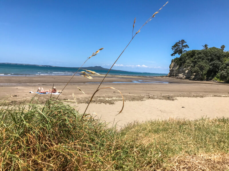 best Auckland beaches