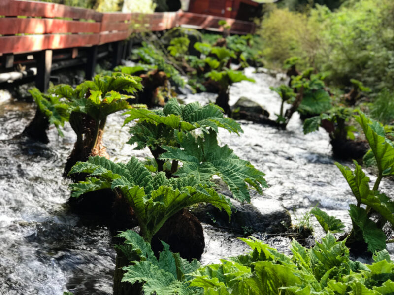 termas de chile