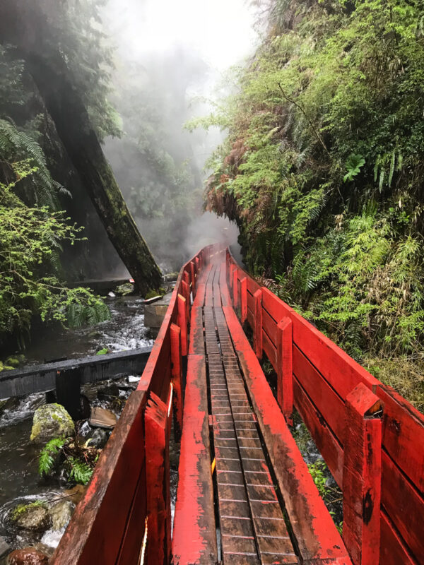 termas aguas calientes