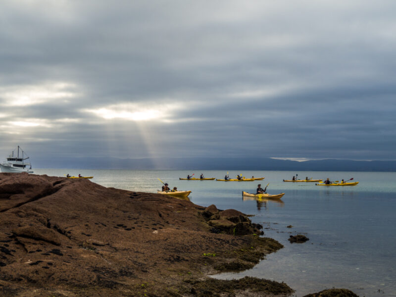 Freycinet kayaking, Tasmania