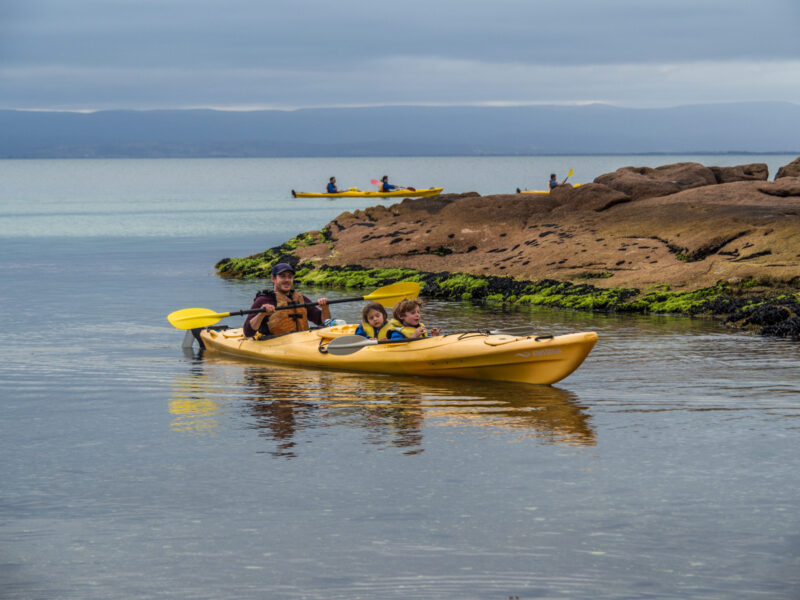 Coles Bay, Tasmania kayaking with kids