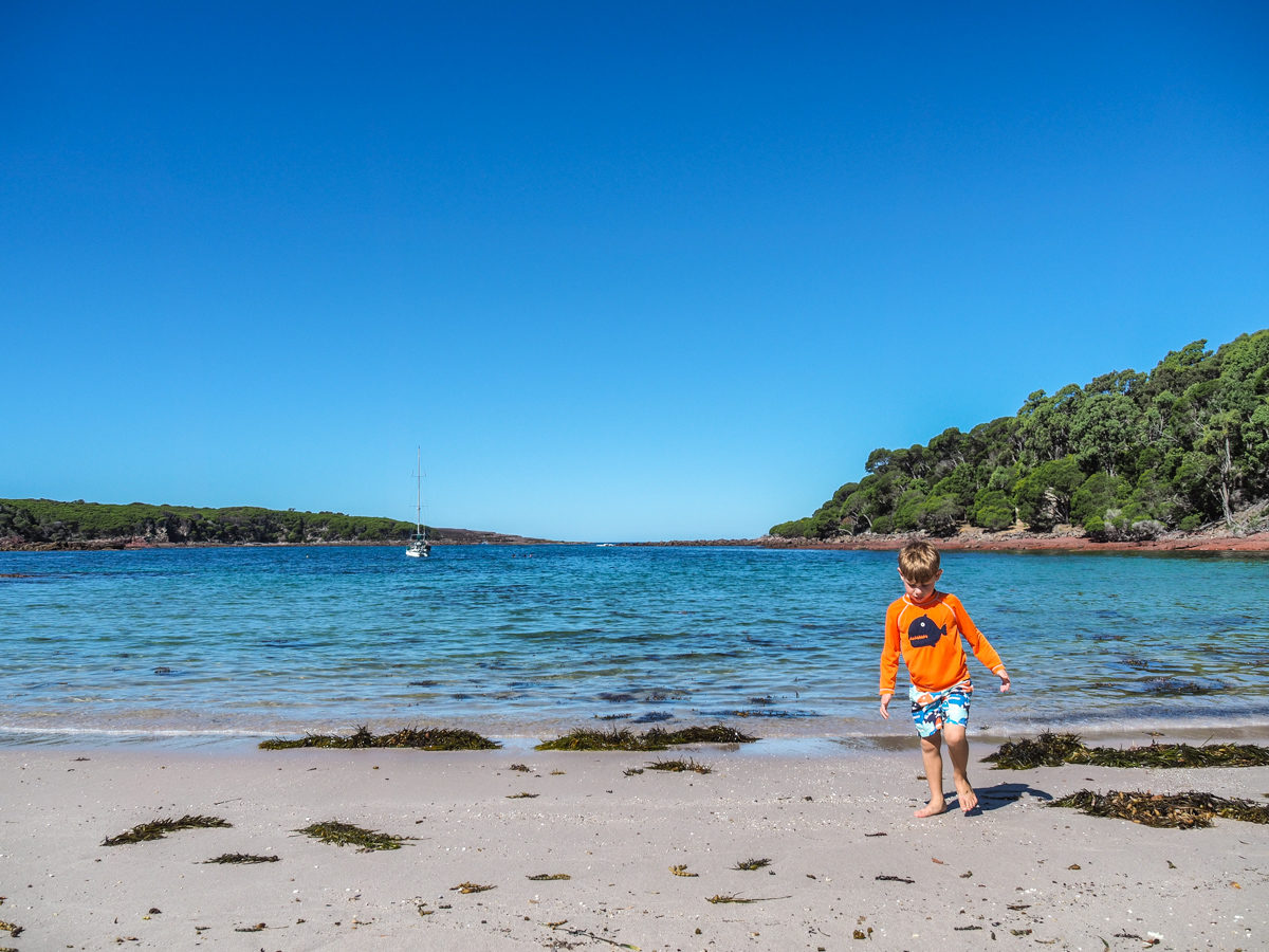 Bittangabee Bay - things to do in Eden, Australia