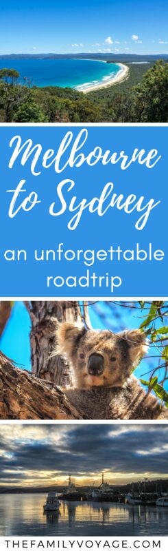 Our Australia roadtrip from Melbourne to Sydney was truly unforgettable! We saw wild kangaroos and koalas, swam at secluded coves and visited lighthouses and rocky cliffs. Don't miss this spectacular drive! Our ultimate Sapphire Coast road trip planner will tell you what to see and where to stop. Stop dreaming, get driving. #Australia #travel #travelplanning #familytravel #sydney #melbourne