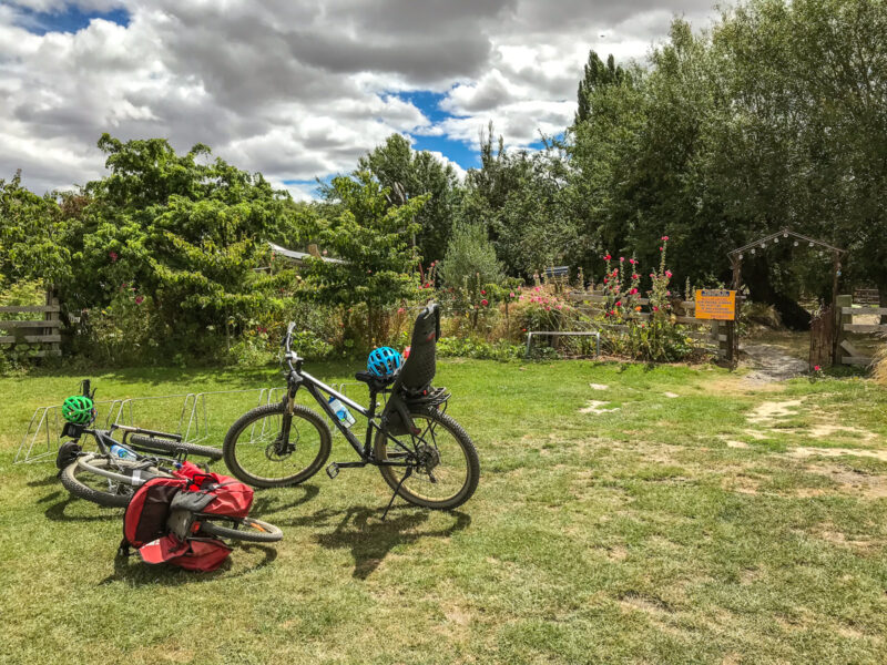 bike hire nz