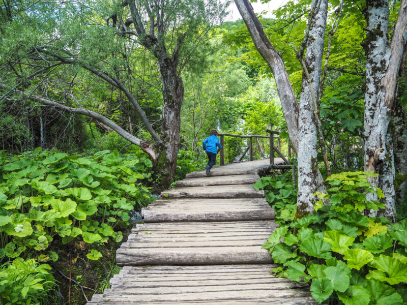 Plitvice Lakes, Croatia: hiking in croatia