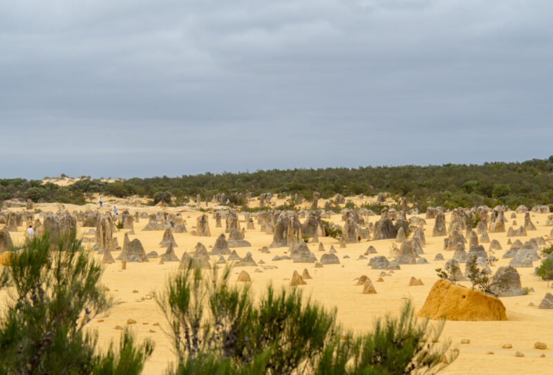 perth pinnacles tour