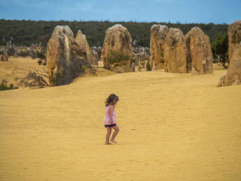 the pinnacles perth