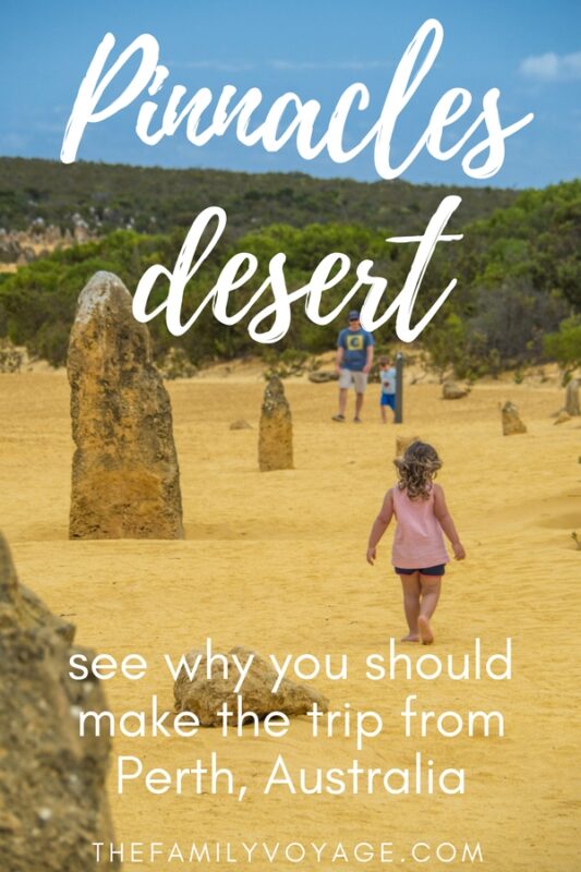 When you're looking for the best things to do in Perth, make sure you plan a day trip from Perth to the Pinnacles desert. This unique landscape is truly otherworldly! Travel Western Australia takes away the hassles and will show you the coolest spots - from Australian wildlife like kangaroos and koalas to sandboarding in Lancelin on the sand dunes. It's truly a can's-miss activity in Western Australia. #travel #Australia #WesternAustralia #Perth #daytrips #Pinnacles #adventure #wildlife