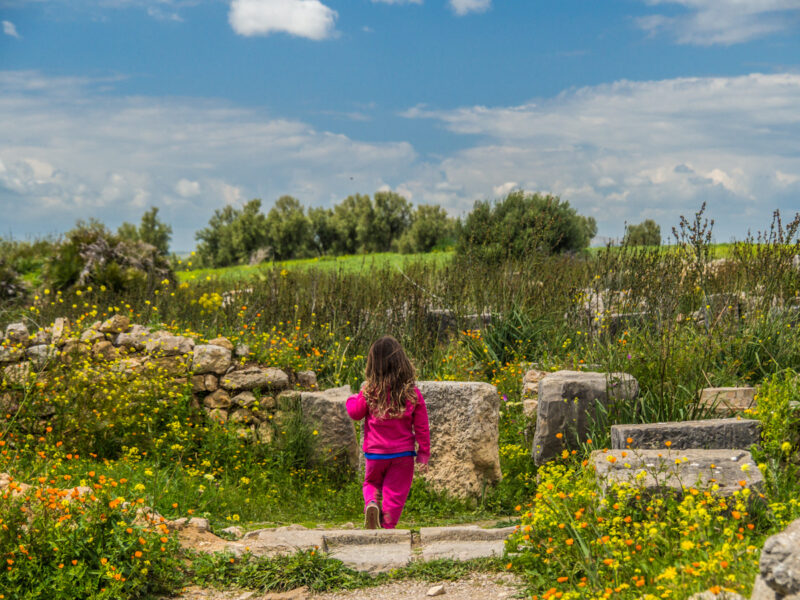 Roman ruins of Volubulis, Morocco in spring