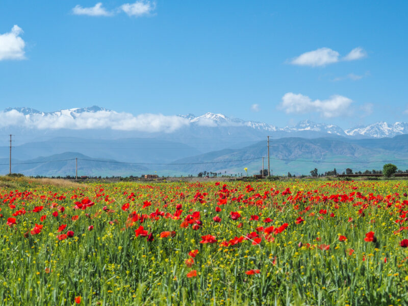 independent travel morocco