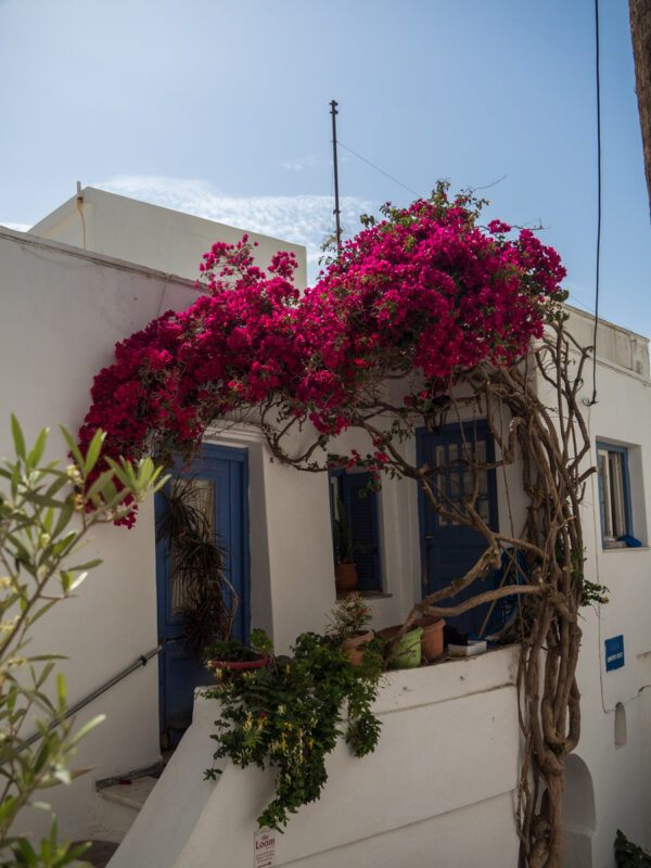 Doorway in old town of Naxos, Greece #Naxos #Greece