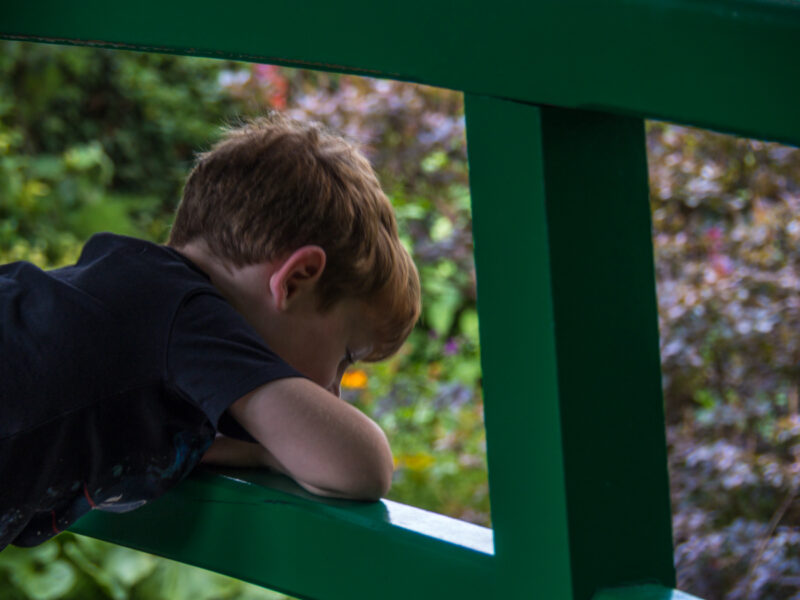 Green bridges in Giverny garden, Fance #Giverny #France #travel