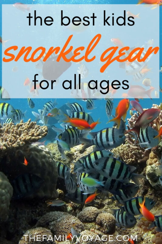 Searching for a kids snorkel set? We've got you covered with the best kids snorkel gear for all ages! #kids #familytravel #snorkeling #familyadventure #watersports