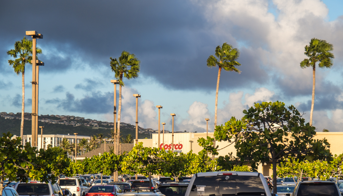 trip to hawaii through costco