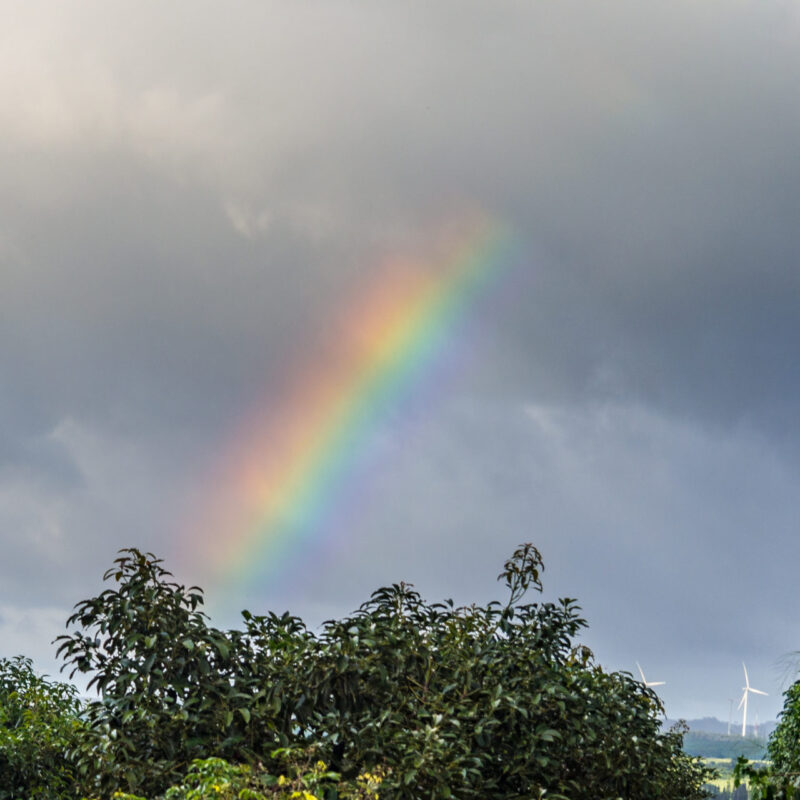 Rainbow on Oahu, Hawaii