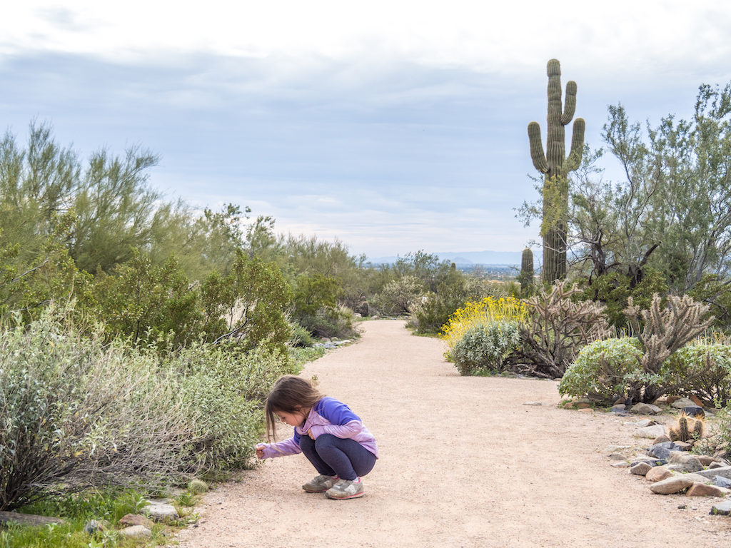 day trips in arizona for families