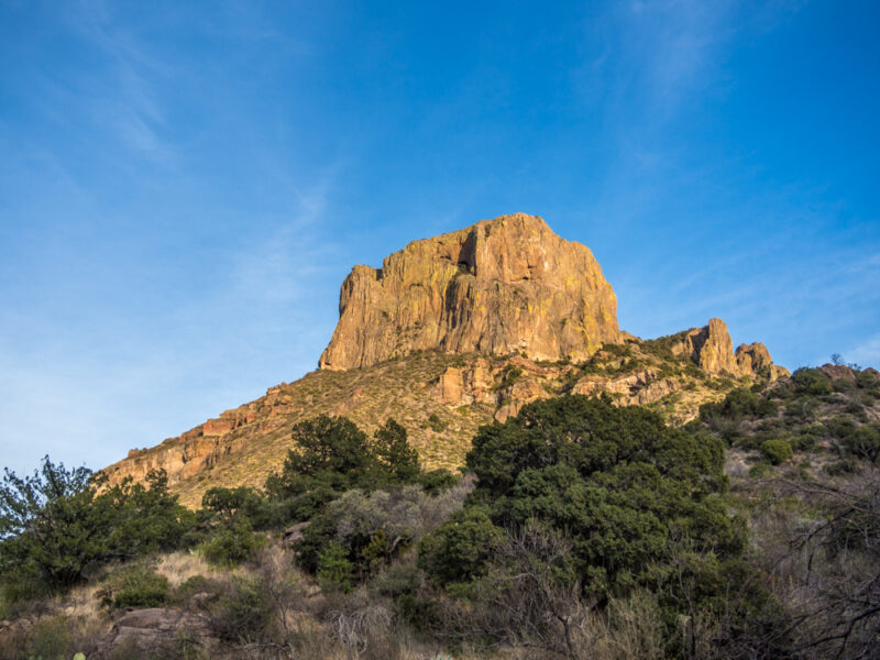 Yellow-orange mountain in background, green shrubs in foreground in Chisos Basin at Big Bend National Park, Texas