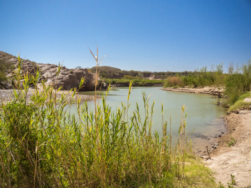 Looking across the green Rio Grande River into Mexico near the Boquillas Crossing in Big Bend National Park. Green plants in foreground, blue sky in background.