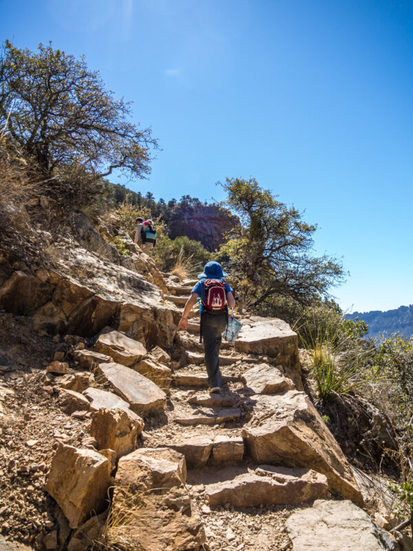 Young boy with red backpack and blue hat walking up rocky steps on the Big Bend hike Lost Mine Trail