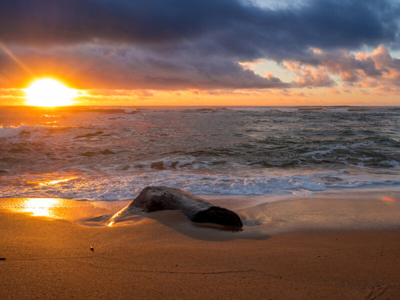 Sunrise at Lydgate Beach Park in Lihue, Kauai, Hawaii