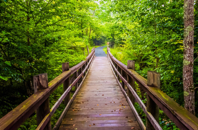 Walking bridge on the Limberlost Trail in Shenandoah National Park, Virginia.