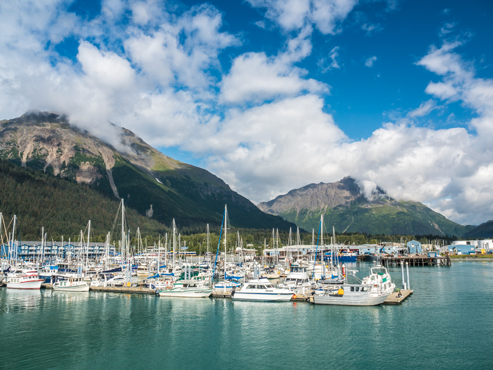 major marine or kenai fjords tours