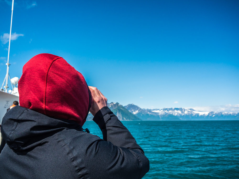 kenai fjords major marine tours