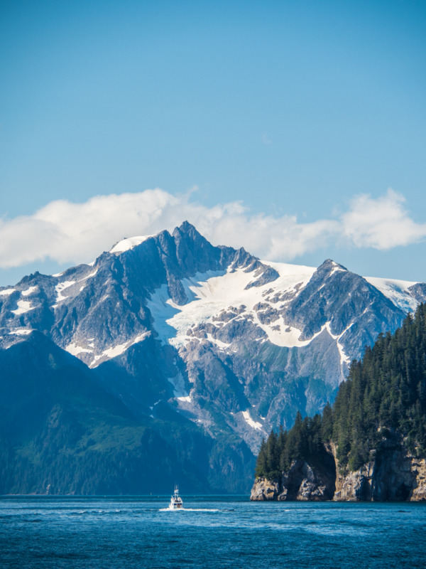 kenai fjords major marine tours