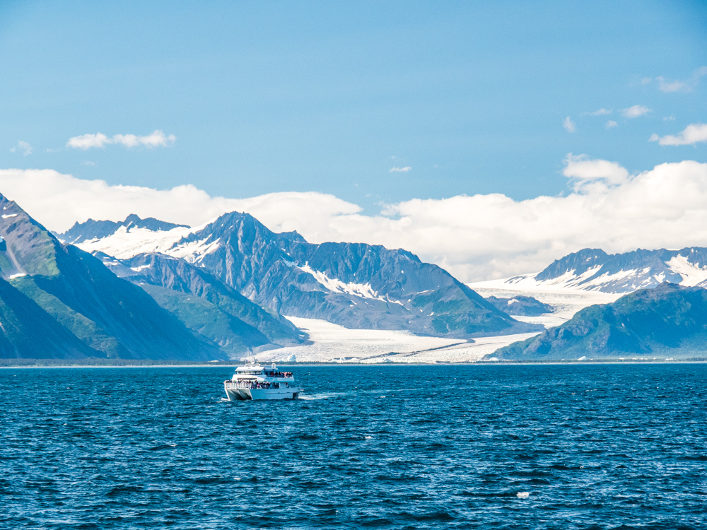 major marine or kenai fjords tours