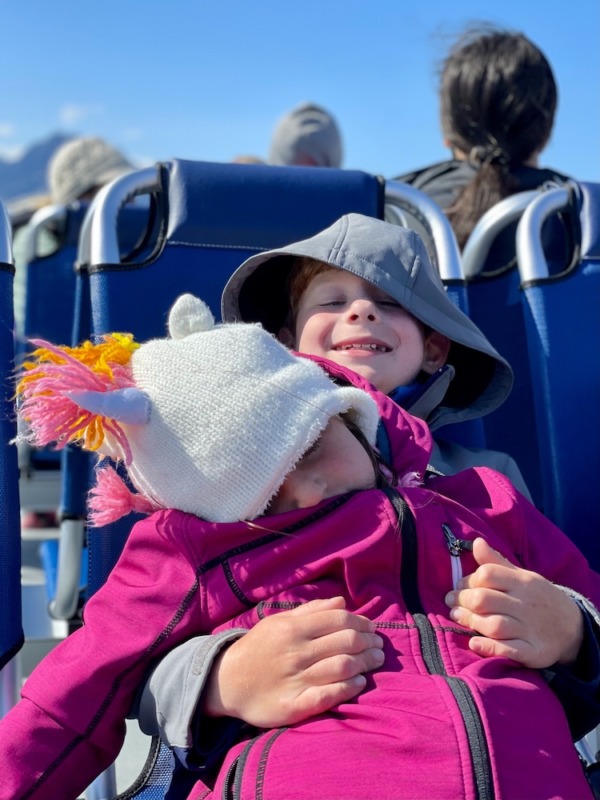 kenai fjords major marine tours