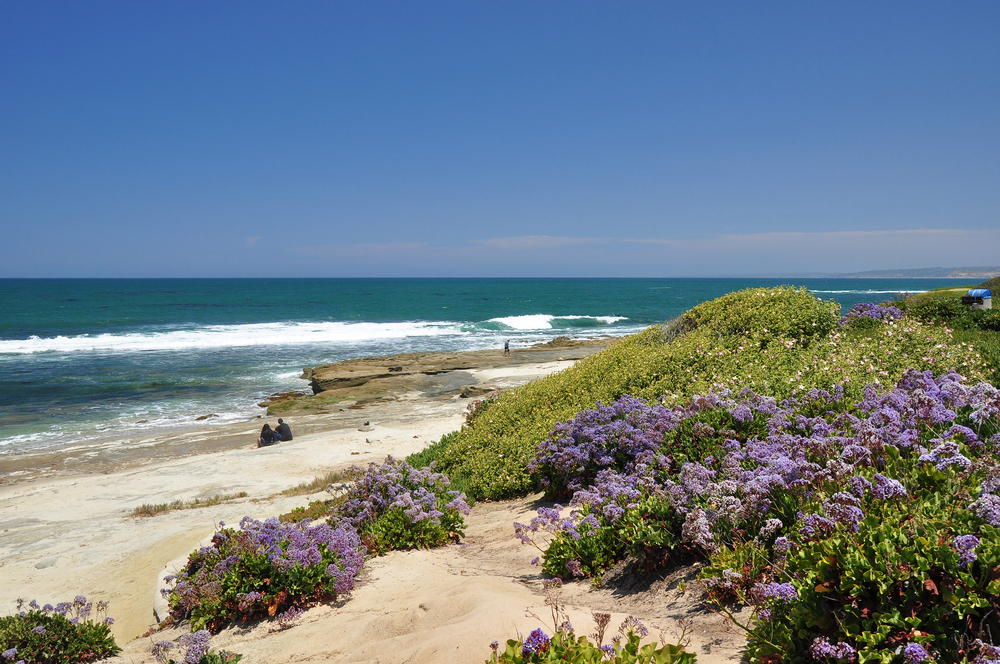 san diego trips for families