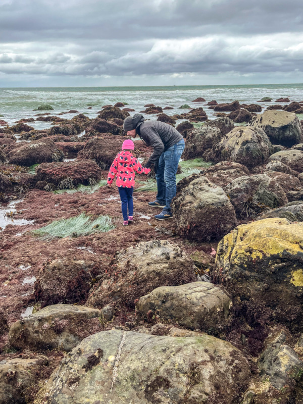 things to do in San Diego with kids - Point Loma tide pools - father and daughter