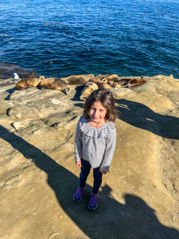 things to do in La Jolla with kids - sea lions - young girl in foreground