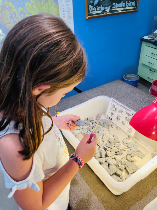 girl standing at paleontology display at Museum of the Earth in Ithaca NY - things to do in Finger Lakes with kids