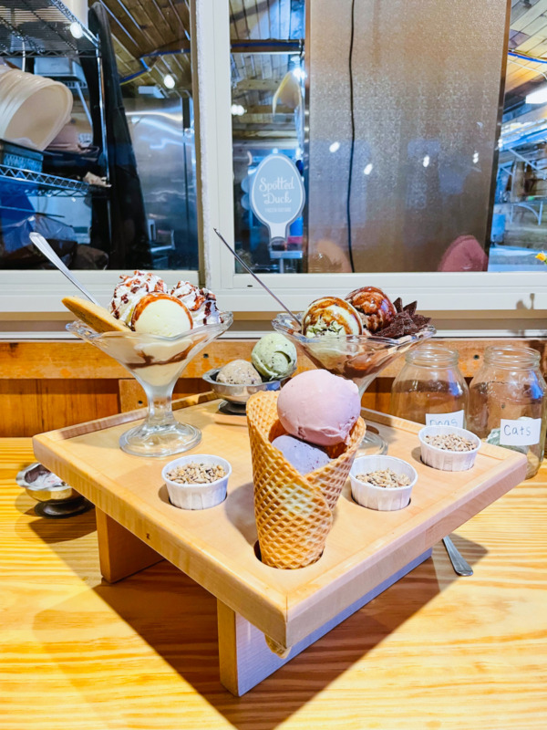 ice cream at Spotted Duck Creamery in Penn Yan New York - where to eat in Finger Lakes with kids