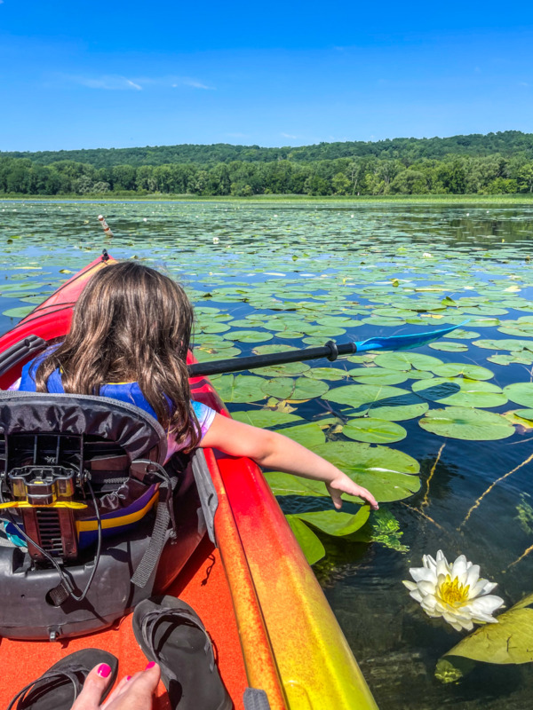 Keuka Outlet kayaking - things to do in Finger Lakes with kids